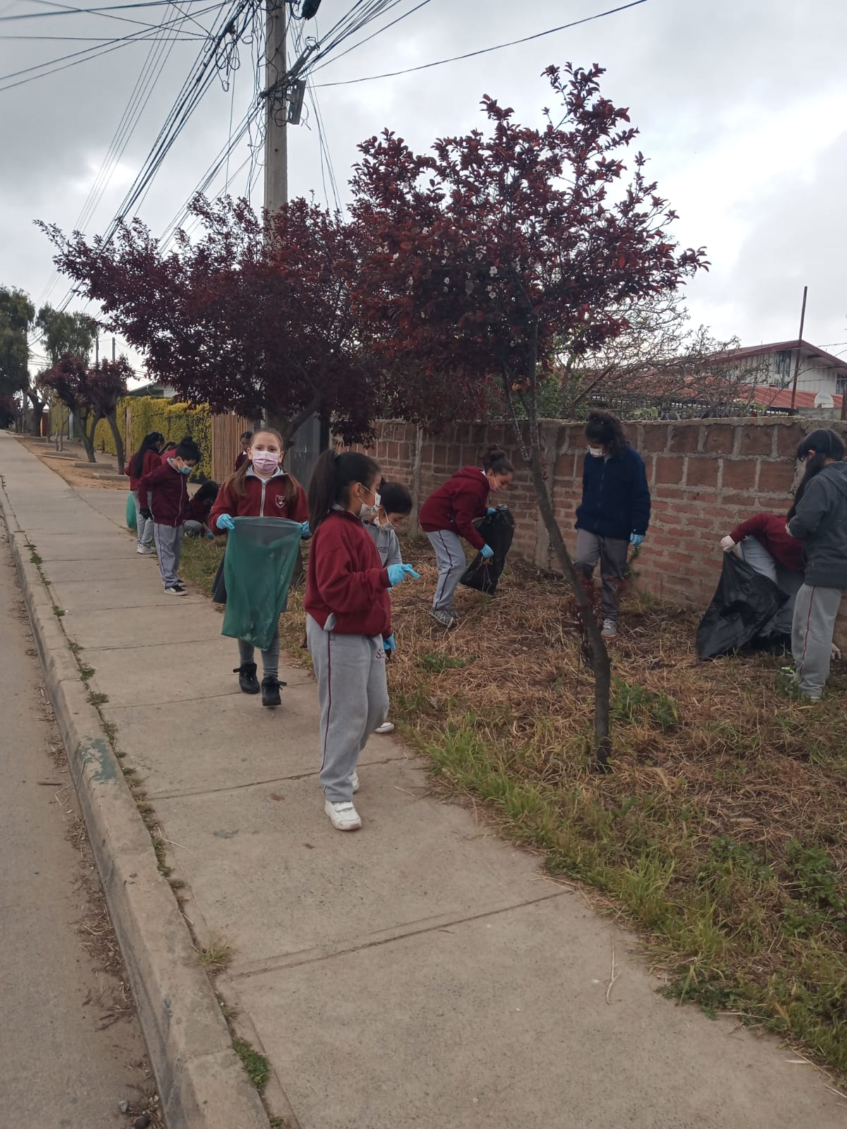 Actividad Limpieza Del Entorno Colegio Santa Clara